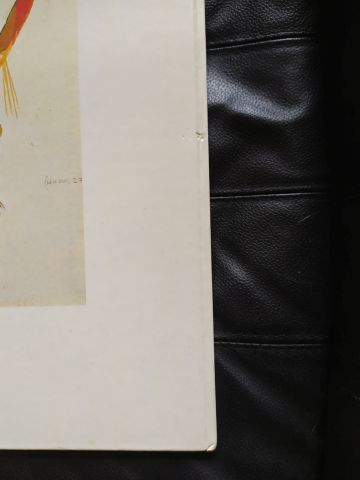 PRATT Hugo (1927-1995). L'univers de Hugo...