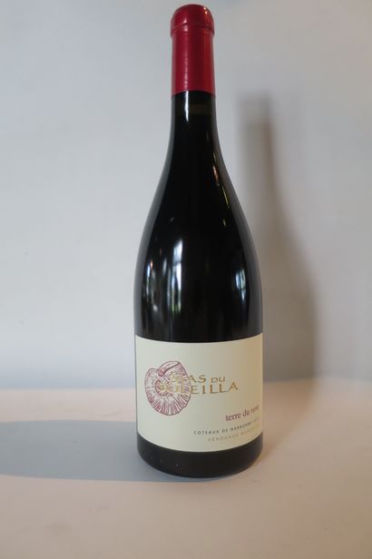 12 bts Mas du Soleilla, cuvée Terre du Vent,...
