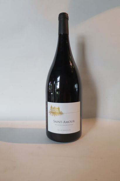 6 Mgs Saint-Amour, Cru du Beaujolais, 2019

(Niveau...