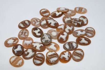 Lot of cameos on shells decorated with astrological...