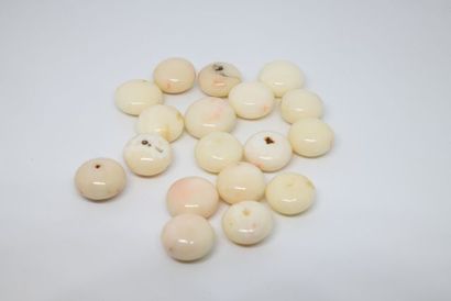 Lot de 18 cabochons de corail blanc, percés...