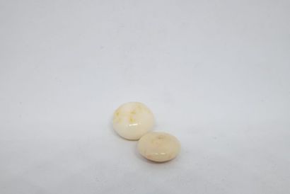 Lot de 2 cabochons de corail blanc, percés...