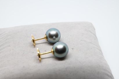 Puces d'oreilles perles de Tahiti sur or...