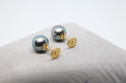 Puces d'oreilles perles de Tahiti sur or...