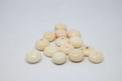 Lot de 14 cabochons de corail blanc, percés...