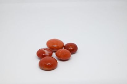 Lot de 5 cabochons de corail, percés par...