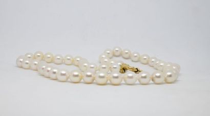 
Collier de perles Akoya, fermoir bouée en...