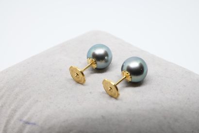 Puces d'oreilles perles de Tahiti sur or...