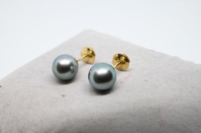 Puces d'oreilles perles de Tahiti sur or...