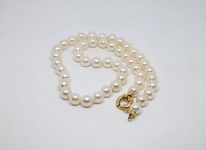 
Collier de perles Akoya, fermoir bouée en...