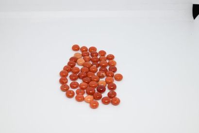 Lot de 50 cabochons de corail, percés par...
