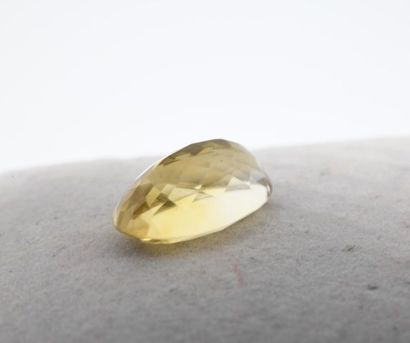 Citrine sur papier, taille ovale 

Poids...