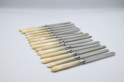 Suite of fourteen fruit knives, the silver...