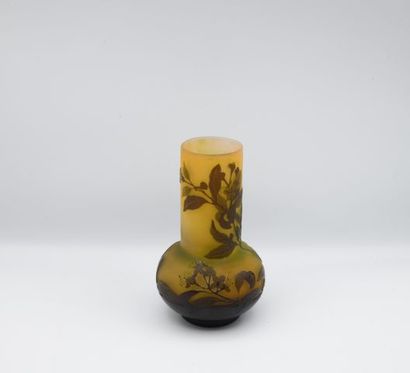 ETABLISSEMENTS GALLE. Vase with long neck,...