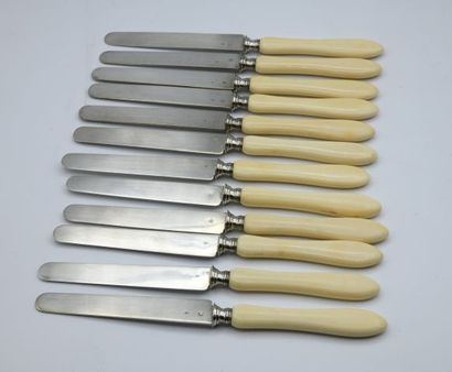 Suite of twelve fruit knives, the blades...