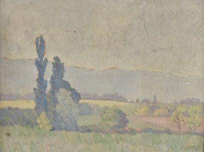 École française vers 1920

Paysage de campagne...