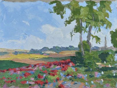Eugène BROUILLARD (1870-1950)

Paysage printanier,...