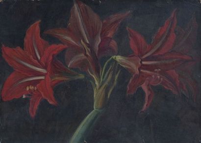 École moderne

Étude d’Amaryllis

Huile sur...