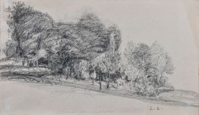 Léon LEHMANN (1873-1953)

Paysage arboré

Dessin...