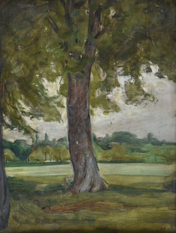 Eugène BAUDIN (1843-1907)

Arbre dans un...