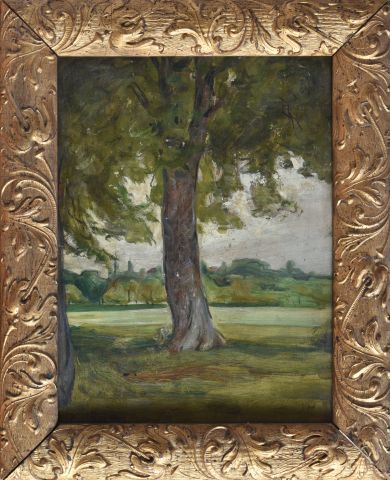 Eugène BAUDIN (1843-1907)

Arbre dans un...