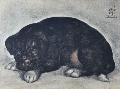 Toshio BANDO (1895-1973)

Portfolio imprimé...