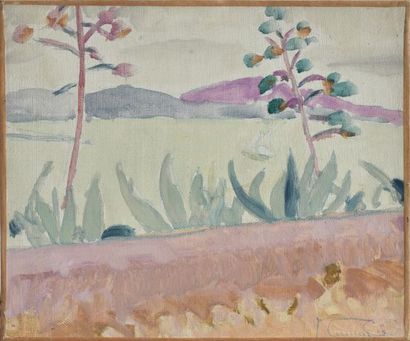 Venance CURNIER (1885-1971)

Paysage méditerranéen

Huile...