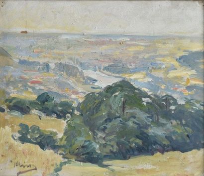 École moderne, probablement lyonnaise

Paysage...