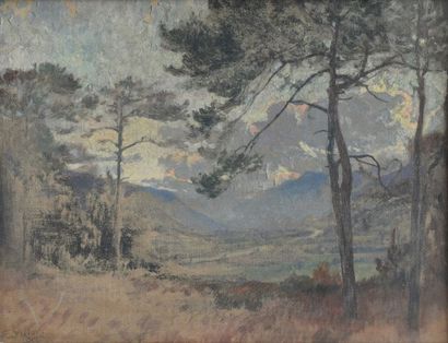 Eugène VILLON (1879-1951)

Paysage de montagne

Huile...