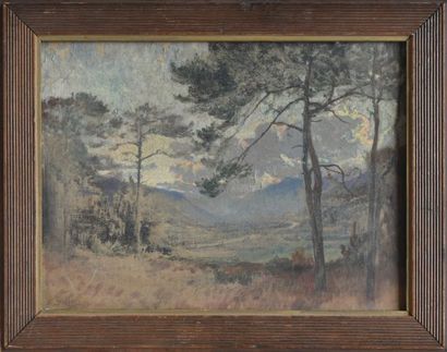 Eugène VILLON (1879-1951)

Paysage de montagne

Huile...