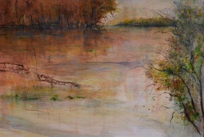 Christian ROYER (1938-2019)

Soir sur la...