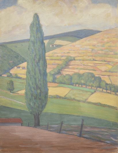 *Jean FERLET (1889-1957)

Paysages aux grands...