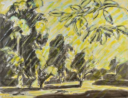 Jacques PONCET (1921-2012)

Les arbres, ciel...