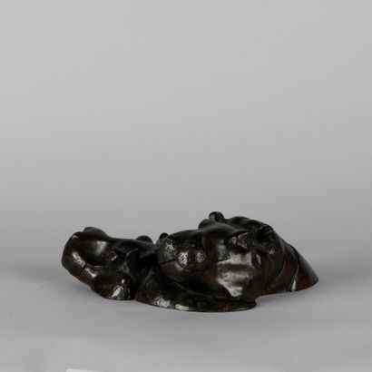Isabelle BRIZZI (né en 1959)

Têtes d'hippopotames...