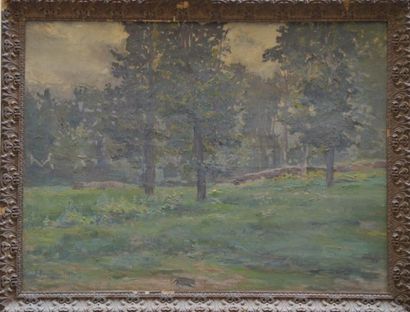 Jules ROUFFET (1862-1931)

The edge of the...