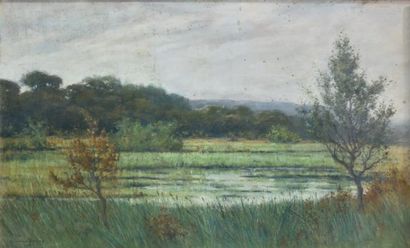 Pierre PRINS (1838-1913)

Landscape with...