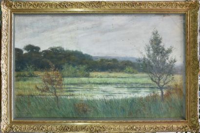 Pierre PRINS (1838-1913)

Landscape with...