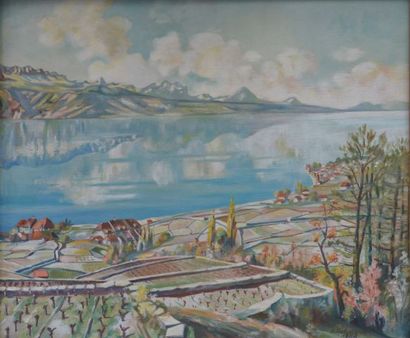 Hans SALZMANN (1900-1973)

View of a lake...