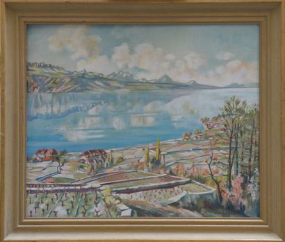 Hans SALZMANN (1900-1973)

View of a lake...