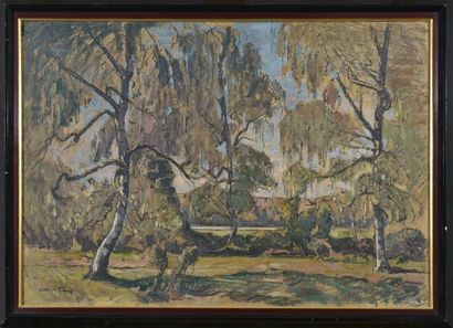 Abel GAY (1877-1961)

Study of Birch Trees...