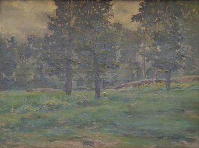 Jules ROUFFET (1862-1931)

The edge of the...