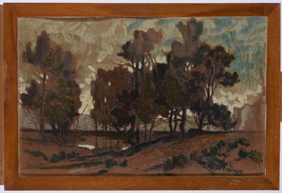 Eugène BROUILLARD (1870-1950)

Paysage aux...