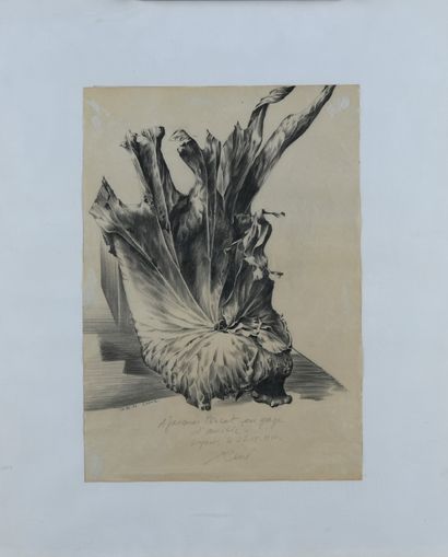 René MUNCH (1937)

Feuille, 1981.

Crayon...