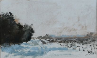 Jean TAVERNIER (né en 1935) 

Paysage enneigé

Huile...