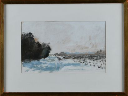 Jean TAVERNIER (né en 1935) 

Paysage enneigé

Huile...