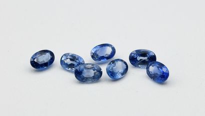 Lot of seven oval sapphires on paper

Total...
