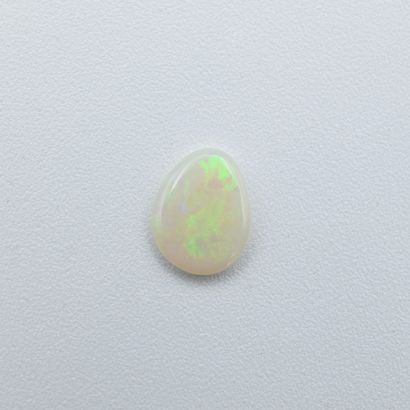 Oval shaped opal weighing 1.2 carat, white...