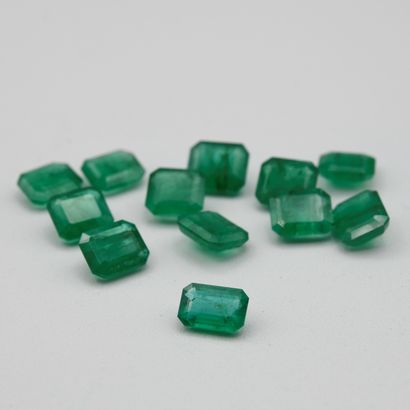Lot of emeralds on paper, rectangle cut,...