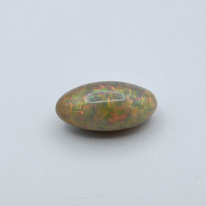 Oval cabochon-cut opal, accompanied by its...