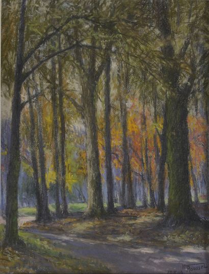 Henri ROUSSEL (1898-1959)

Arbres en automne,...